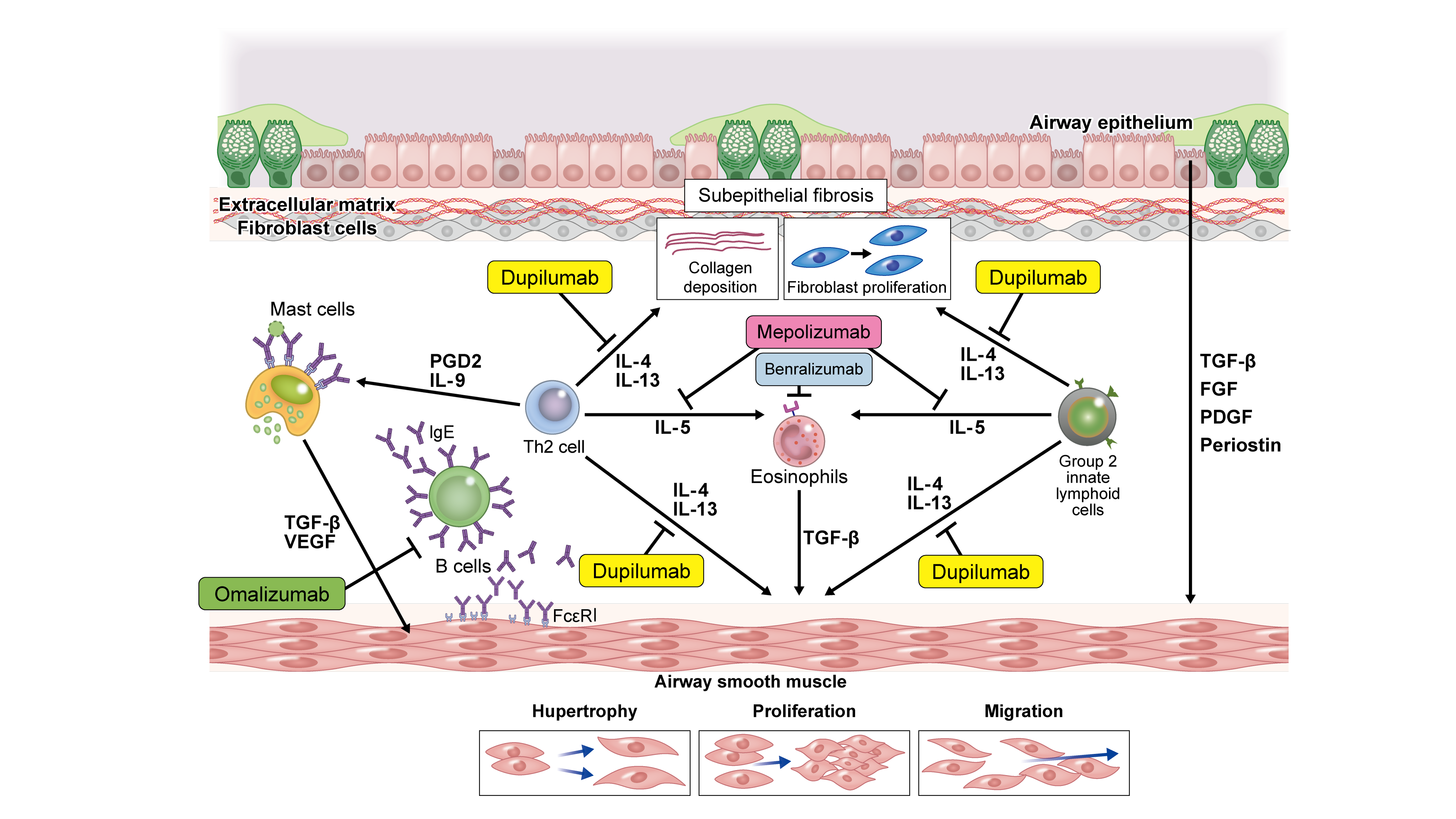 Fig-3_3